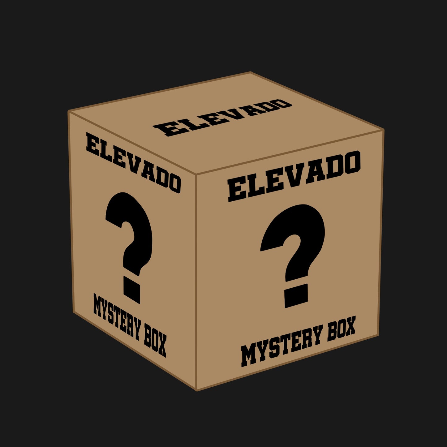 MYSTERY BOX (PREMIUM)